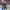 https://res.cloudinary.com/billionhands/image/upload/v1778099796/items/mou8eju0gueav7jnqrjz.webp-2cover