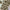 https://res.cloudinary.com/billionhands/image/upload/v1778100165/items/ai7poopq096yc9ad3yco.webp-2cover