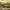 https://res.cloudinary.com/billionhands/image/upload/v1778106005/items/pi6npqj9esi2fg4nuyyy.jpg-0cover