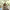 https://res.cloudinary.com/billionhands/image/upload/v1778106012/items/qhbymge67cottihh1iri.jpg-1cover