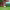 https://res.cloudinary.com/billionhands/image/upload/v1778106013/items/tpccenungh6ozs3h4gtd.jpg-2cover