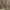 https://res.cloudinary.com/billionhands/image/upload/v1778106015/items/nzvjc3u5arzw0k9phcpn.jpg-3cover