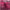 https://res.cloudinary.com/billionhands/image/upload/v1778131957/items/fddn3syppbwrocltfiew.png-0cover