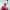 https://res.cloudinary.com/billionhands/image/upload/v1778136578/items/vo0tlpny4iz4ozgezpk0.png-2cover