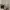 https://res.cloudinary.com/billionhands/image/upload/v1778137038/items/lii5ov2878c0mjoylafz.webp-2cover