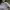 https://res.cloudinary.com/billionhands/image/upload/v1778138231/items/rw0vwhlgkkqwgcbfq5jl.jpg-1cover