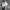 https://res.cloudinary.com/billionhands/image/upload/v1778139566/items/v0g12tgfapzxkuih28mn.png-1cover