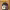 https://res.cloudinary.com/billionhands/image/upload/v1778140507/items/amztzexb1wcblh7xeaau.jpg-0cover