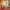 https://res.cloudinary.com/billionhands/image/upload/v1778141232/items/lizi7chi3pab7zwvfcvr.png-1cover