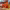 https://res.cloudinary.com/billionhands/image/upload/v1778142165/items/tvokxr7ef8czvdq8umpc.jpg-2cover