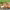 https://res.cloudinary.com/billionhands/image/upload/v1778147023/items/vl37bycraou873euywbd.webp-3cover