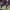 https://res.cloudinary.com/billionhands/image/upload/v1778158474/items/l8rwdh1rgcxotim4zs1o.jpg-3cover