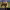 https://res.cloudinary.com/billionhands/image/upload/v1778158480/items/e1j7akteiifklyiazwh2.jpg-3cover