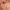 https://res.cloudinary.com/billionhands/image/upload/v1778160437/items/yxhakfgi6rk6vii9htrt.jpg-3cover