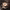 https://res.cloudinary.com/billionhands/image/upload/v1778161495/items/hs6ukwxf3tgjq7asy4ur.jpg-2cover