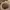https://res.cloudinary.com/billionhands/image/upload/v1778161526/items/hf7x6ac6oimz9x7hd1zf.jpg-3cover