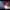 https://res.cloudinary.com/billionhands/image/upload/v1778162569/items/rgtip11k4hiqc37jpzcj.jpg-1cover