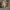 https://res.cloudinary.com/billionhands/image/upload/v1778163347/items/huhnjebna7gfo4m7wmin.jpg-0cover