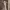 https://res.cloudinary.com/billionhands/image/upload/v1778175817/items/hmdku2nyez4tgvj9osya.webp-1cover