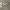 https://res.cloudinary.com/billionhands/image/upload/v1778181463/items/on4eswymtdclgs0vyrke.jpg-1cover