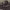 https://res.cloudinary.com/billionhands/image/upload/v1778182469/items/eurftussmoa5rdi2qkfv.jpg-2cover