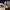 https://res.cloudinary.com/billionhands/image/upload/v1778184761/items/vw1v1lgvocqjzledqwlk.jpg-3cover