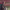 https://res.cloudinary.com/billionhands/image/upload/v1778185590/items/mvjmhd9szzuuxksuinen.jpg-3cover