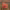 https://res.cloudinary.com/billionhands/image/upload/v1778188419/items/nx3iprkd5huvklk4bzam.jpg-3cover