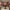 https://res.cloudinary.com/billionhands/image/upload/v1778189131/items/fkv3wq9pohuftm1vwsns.jpg-0cover