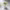 https://res.cloudinary.com/billionhands/image/upload/v1778189135/items/gxzisn6hgrfteuyyezha.webp-2cover