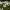 https://res.cloudinary.com/billionhands/image/upload/v1778189140/items/brtkl7htxnkov7rt81ma.jpg-0cover