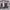 https://res.cloudinary.com/billionhands/image/upload/v1778189166/items/m0otu34d9w8ld4s2guwj.jpg-2cover