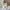 https://res.cloudinary.com/billionhands/image/upload/v1778189344/items/vsgnbhzyyilybnvtuehi.jpg-2cover