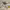 https://res.cloudinary.com/billionhands/image/upload/v1778189648/items/meqo3cq0vkfz2yi4iuc2.jpg-2cover