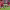 https://res.cloudinary.com/billionhands/image/upload/v1778194861/items/ryrftba6kshw2ahzfpy3.avif-0cover