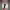 https://res.cloudinary.com/billionhands/image/upload/v1778196478/items/stxdhmxb2mywnmxbyfv4.jpg-3cover