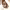 https://res.cloudinary.com/billionhands/image/upload/v1778205087/items/ru2owepzrhz2jchje23n.jpg-1cover