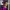 https://res.cloudinary.com/billionhands/image/upload/v1778215691/items/gulw3rnwlxmtcvpi4tiy.jpg-3cover