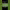 Axel Witsel (Girona) - Bicycle Kick Goal (2025/2026 Season) cover