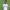 Vinícius Júnior vs. Rayo Vallecano Goal (February 2026) cover