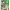 https://res.cloudinary.com/billionhands/image/upload/v1778218940/items/pkbmnymhlkzoyk6oex4z.png-1cover