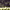 https://res.cloudinary.com/billionhands/image/upload/v1778225235/items/hapzymw0p8htjxnp06no.jpg-1cover