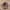 https://res.cloudinary.com/billionhands/image/upload/v1778225236/items/ycks8phmuvauhhu2xuuy.jpg-1cover