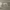 https://res.cloudinary.com/billionhands/image/upload/v1778225237/items/xve7fdbeq9hsctmsres1.jpg-2cover