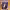 https://res.cloudinary.com/billionhands/image/upload/v1778225238/items/pp4cvx6yxy9q5yvdwz7b.jpg-2cover