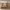 https://res.cloudinary.com/billionhands/image/upload/v1778235174/items/vy35l3v9do6auv5sbjuu.jpg-1cover