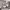 https://res.cloudinary.com/billionhands/image/upload/v1778235182/items/d99cy5dcxddeu3wahdpe.webp-3cover