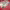 https://res.cloudinary.com/billionhands/image/upload/v1778237870/items/ail80dm6egwy2debsfjj.webp-3cover