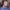 https://res.cloudinary.com/billionhands/image/upload/v1778250679/items/ofafi3t3vwb7sdxjyv8x.jpg-3cover