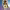 https://res.cloudinary.com/billionhands/image/upload/v1778254517/items/k8cpcr1gsstdldfpvgoj.avif-0cover